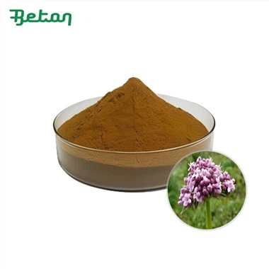 Organiczny proszek z korzenia waleriany