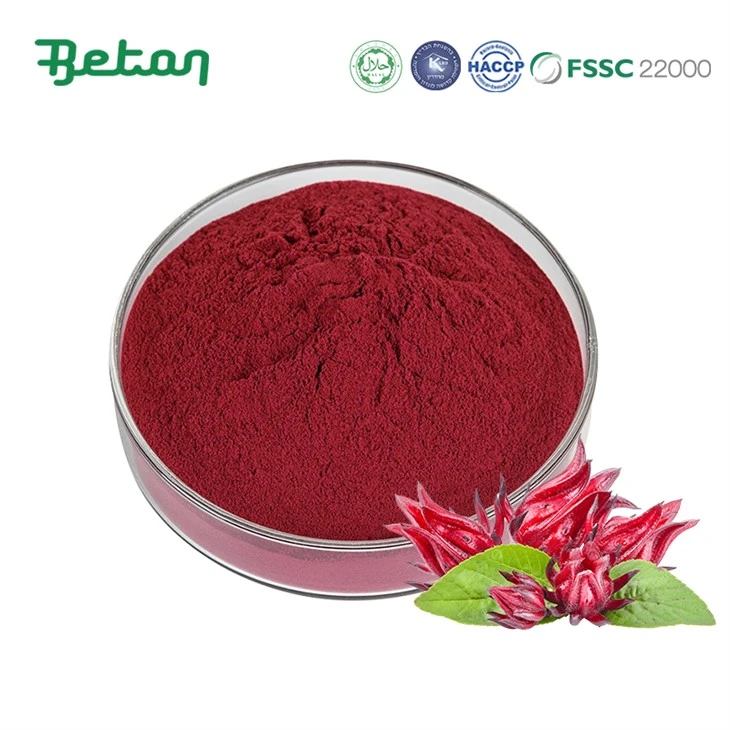 Ekstrakt z hibiskusa Roselle w proszku